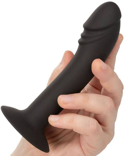 Calexotics Curved Anal Stud Πρωκτικό Dildo Small Μαύρο