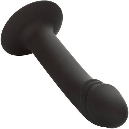 Calexotics Curved Anal Stud Πρωκτικό Dildo Small Μαύρο
