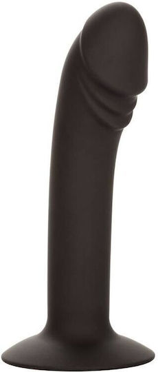 Calexotics Curved Anal Stud Πρωκτικό Dildo Small Μαύρο