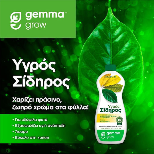 Gemma Super Green Βιολογικό Υγρό Λίπασμα Αζώτου, Σιδήρου Γενικής Χρήσης 250ml
