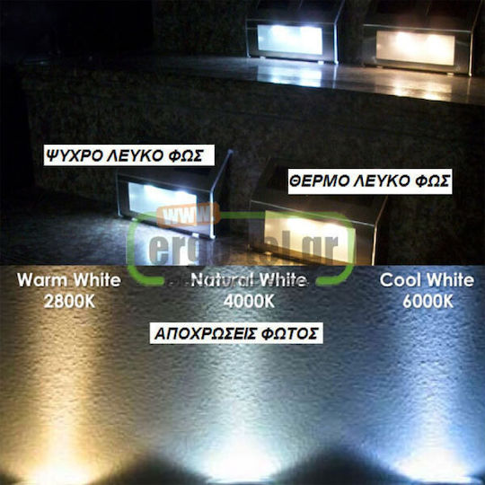 Adeleq LED Bulb 8W 80mm for Socket E27 and Shape G45 Cool White 800lm