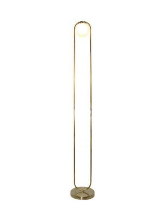 Inlight 45016 Φωτιστικό Δαπέδου Υ160xΜ22εκ. με Ντουί για Λαμπτήρα G9 Χρυσό
