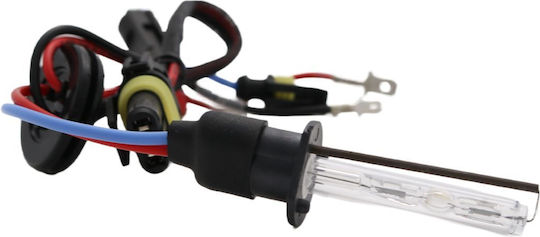 Bizzar Lamps Car Hid H1 Xenon 6000K Cold White 35W 1pcs