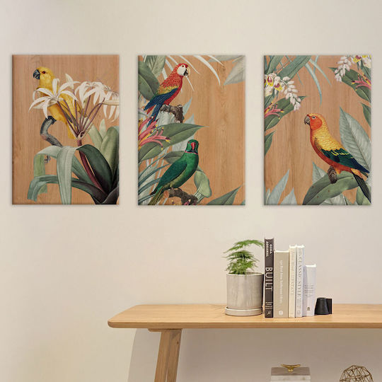 Ango Parrots Ξύλινος