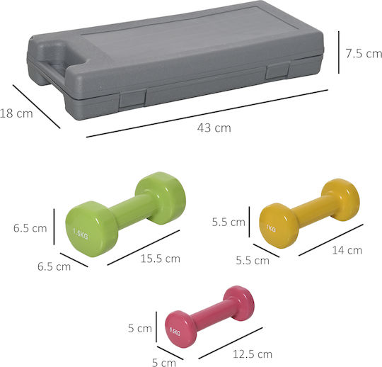 HomCom Set De Haltere 1 Bucată Greutate Totală 6kg