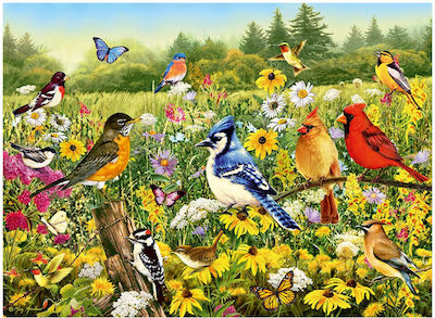 Puzzle Birds 2D 500 Κομμάτια