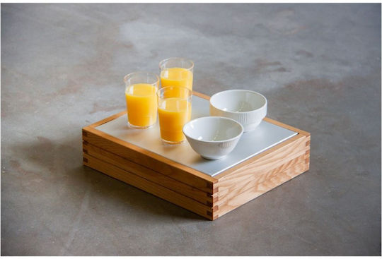 Freezing Showcase Tabletop 32.5x26.5x3.5cm Aluminium Select Concept SEL601
