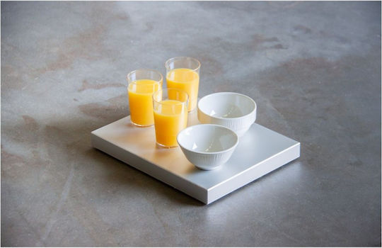 Freezing Showcase Tabletop 32.5x26.5x3.5cm Aluminium Select Concept SEL601