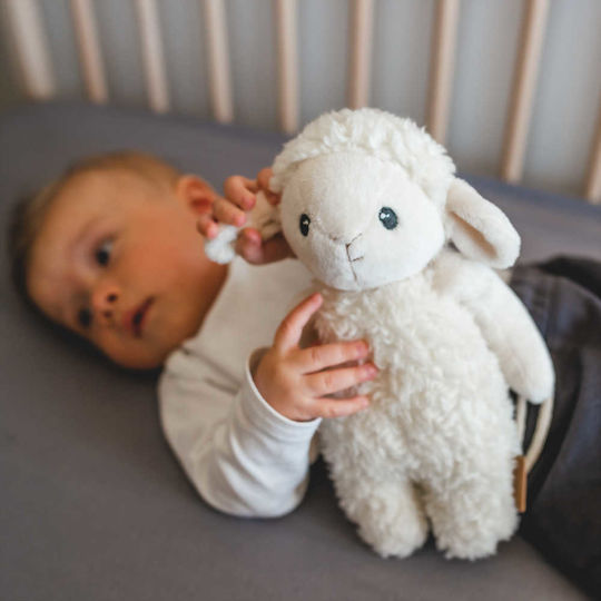Whisbear Παιχνίδι Ύπνου Sleepy Sheep από Ύφασμα με Ήχους για Νεογέννητα