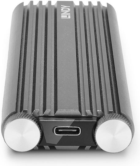 Lindy Case for Hard Drive M.2 PCI Express with Connection USB 3.2