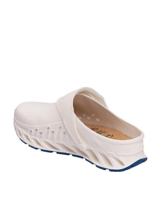 Scholl Anatomici Sabot Albe