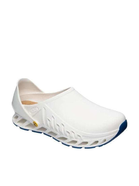 Scholl Anatomici Sabot Albe
