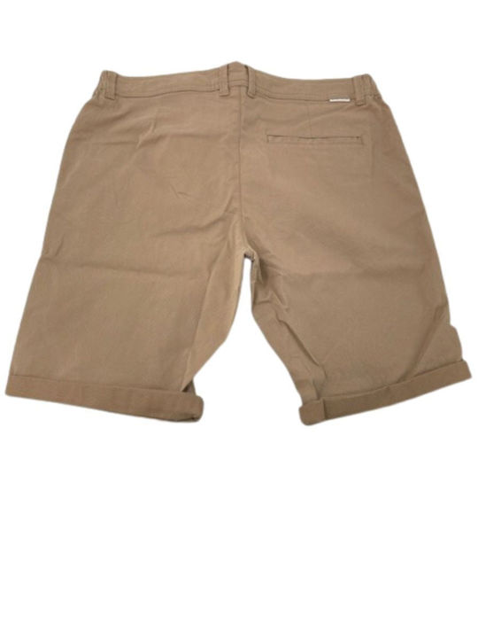 Tom Tailor Men's Shorts Brown