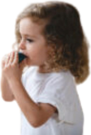 Plan Toys Ξύλινη Σφυρίχτρα Φάλαινα