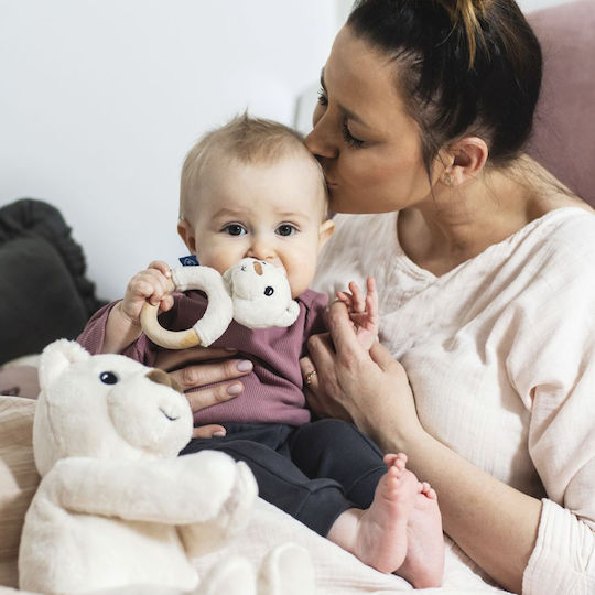 Whisbear Bear Μασητικός Κρίκος Οδοντοφυΐας από Ξύλο για 0 m+