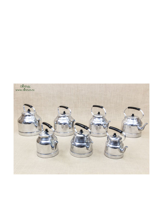 Ceainic Aluminiu în Culoare Argintiu 4200ml