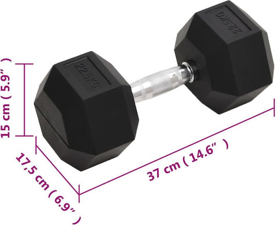 vidaXL Hexagon Dumbbell 1 x 22.5kg
