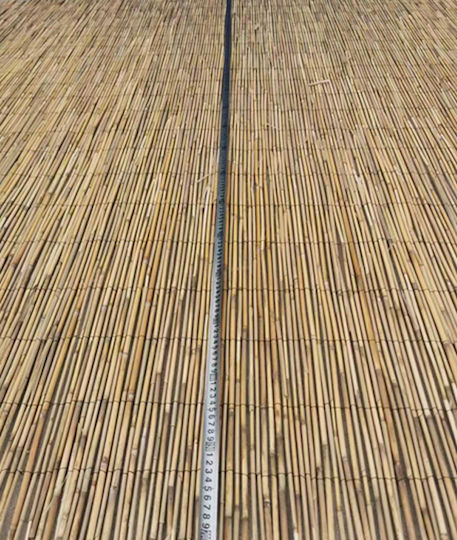 ArteLibre Καλαμωτή με Ολόκληρο Καλάμι 1.5x3m