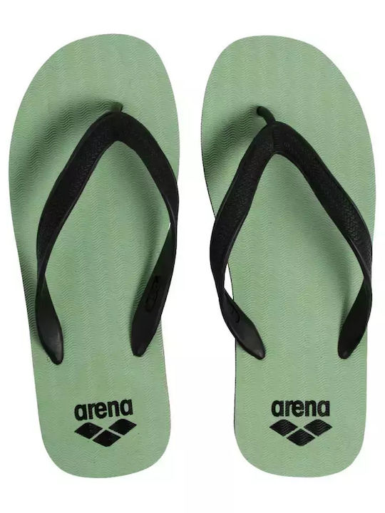 Arena
