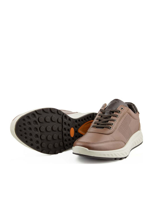 Sneakers Brown