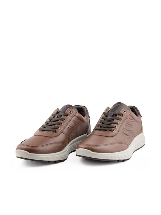 Boxer Sneakers Brown