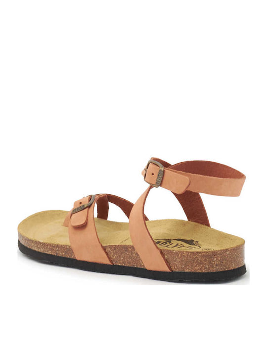 Leather Women's Flat Sandals Anatomic with Strap Aragosta