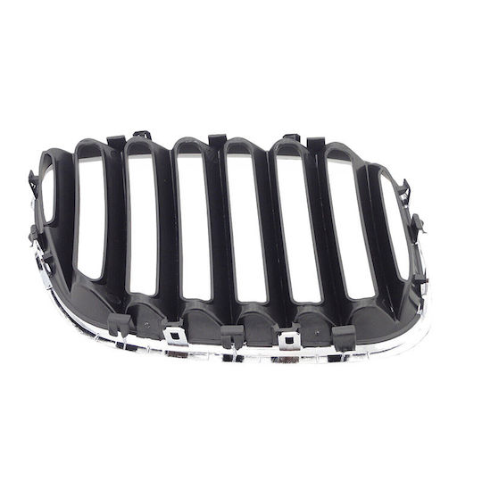Carner Διακοσμητική Μάσκα Αυτοκινήτου BMW E53 / X5 / X5 (E53)