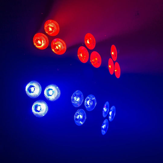 BoomToneDj Φωτορυθμικό Wash LED DMX 6 Pack Led Par RGBW