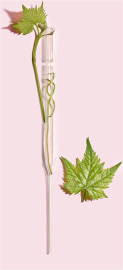 Caudalie Resveratrol-Lift Κρέμα Ματιών για Αντιγήρανση , Μαύροι Κύκλοι & Σακούλες 15ml