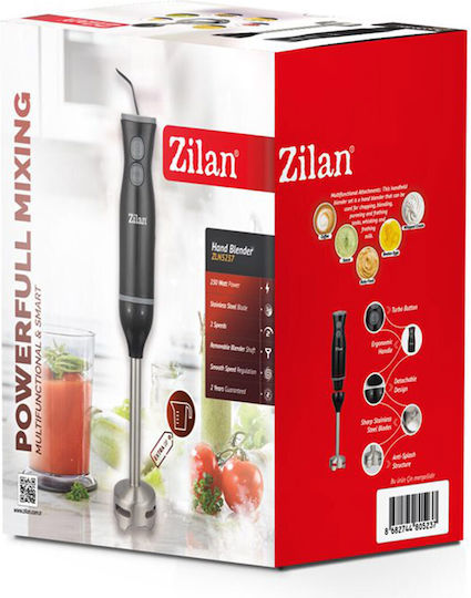Zilan Ραβδομπλέντερ με Ανοξείδωτη Ράβδο 250W Μαύρο
