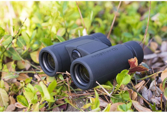 Nikon Κикилия Prostaff P3 8x30мм