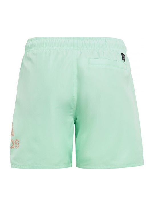 adidas Kinder Badeanzug Badeshorts Grün adidas Kinder Badeanzug Badeshorts Grün