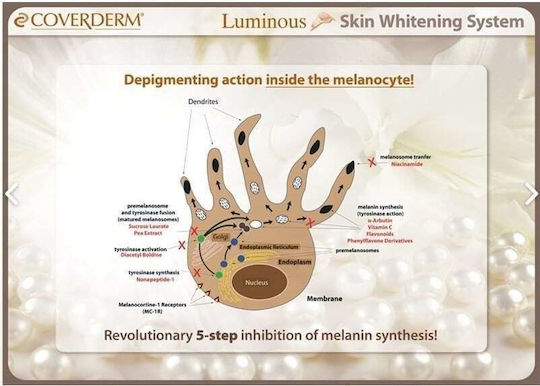 Coverderm Luminous Moisturizing & Anti-aging Serum Face & Eyes with Vitamin C for Radiance & Dark Circles 20ml