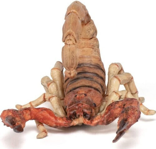 Papo Scorpion 6cm (Miscellaneous Designs)