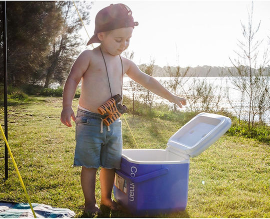 Coleman Performance Tricolor 16 Portable Fridge 15L Blue