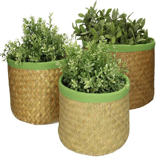 ArteLibre Seagrass Plant Pot Metal