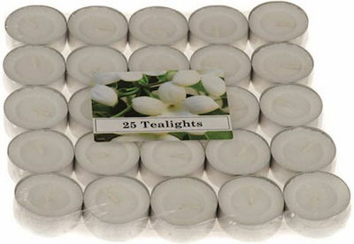 Art et Lumiere Tealights with Scent Jasmine in White Color (up to 4 Burning Hours ) 25pcs