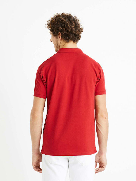 Celio