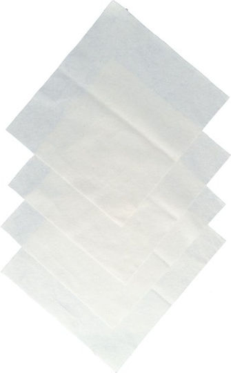 Protecton Synthetic Polishing Cloths for Car Body 38x34cm 4 Pieces