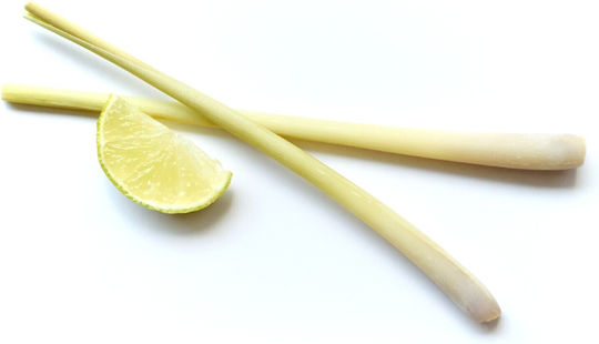 Seamuse Balsam pentru Gras Păr cu Lemongrass și ulei de arbore de ceai 250ml