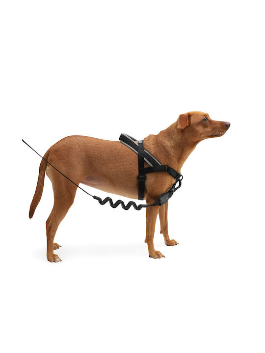 Zee-Dog Εκπαιδευτικό Softer Walk Gotham Μαύρο Medium 22-31cm Zee-Dog Εκπαιδευτικό Softer Walk Gotham Μαύρο Medium 22-31cm