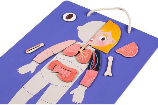 Mieredu Magnetic Construction Toy Body Emotions for Children 4+ years old+ Years