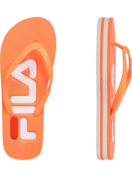 FILA FILA