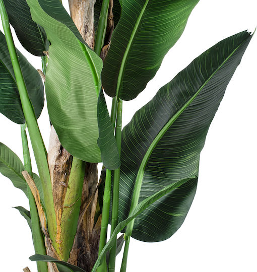 Artificial Decorative Branch Musa Green 300cm GloboStar