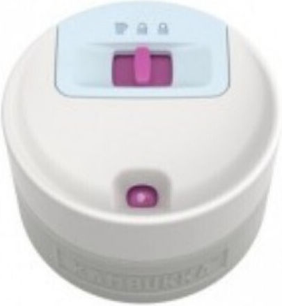 Kambukka Etna Μπουκάλι Θερμός Ανοξείδωτο BPA Free 300ml Brushing Bride με Επιστόμιο