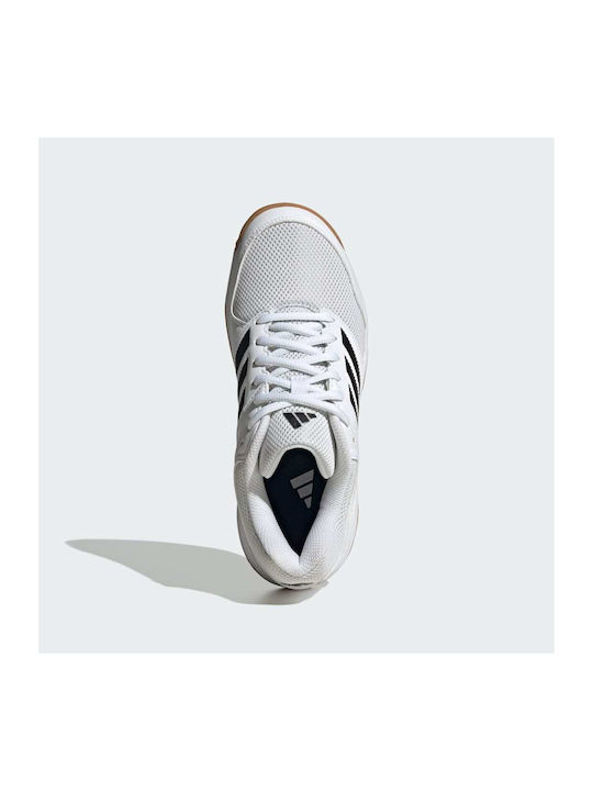 Speedcourt Damen Sportschuhe Volleyball Cloud White / Core Black / Gum