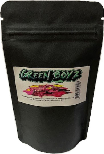 Greenboyz Decorative Flower Petals Multicolored 10gr