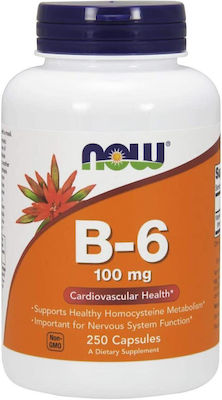 Now Foods B-6 Vitamin 100mg 250 veg. caps