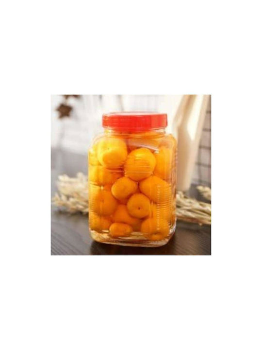 Viosarp Βάζο Γενικής Χρήσης με Καπάκι Γυάλινο 1000ml