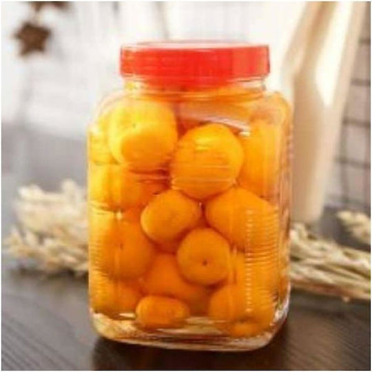 Viosarp General Use Glass Transparent Vase with Lid 1000ml